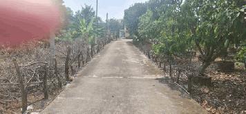 ขายที่ดิน ราชพฤกษ์ ใกล้ รร.เด่นหล้า พร้อมบ้าน 1หลัง ปากซอยเป็น chic republic โทร 0619419639